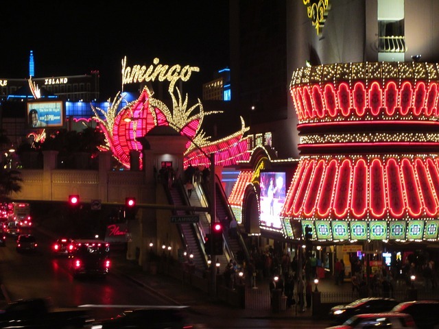 las vegas, strip, flamingo neon