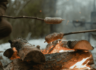 7 Food Sources That Will Sustain Your off-Grid Home