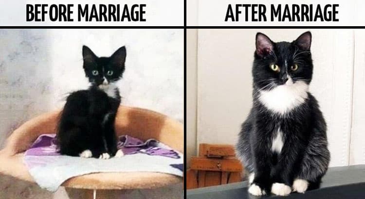 Before and After Marriage Effects