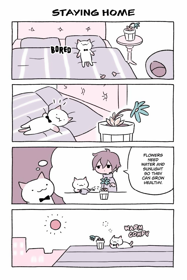 Adorable Cat Comic Created By A Japanese Artist
