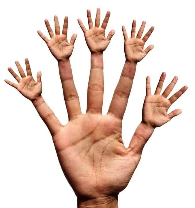 Check these two lines on your palm!