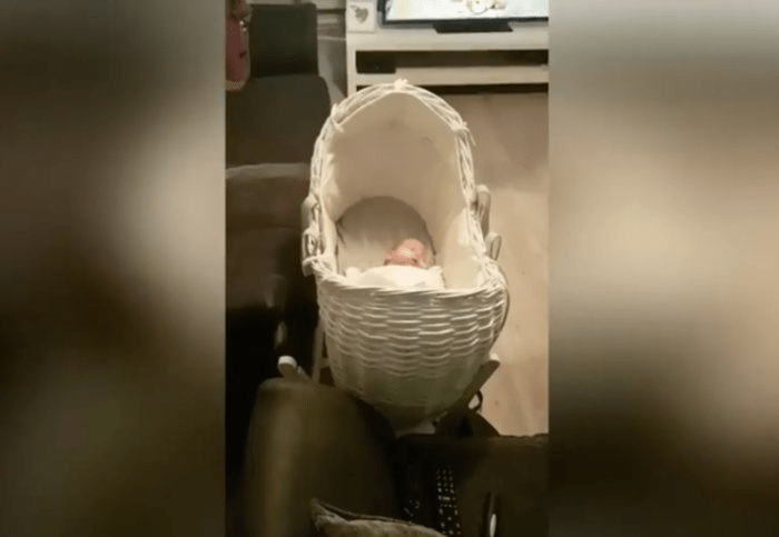 Kids Cry On The Arrival Of Their Brother After Three Months Spending In Incubator