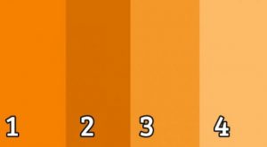 This is how your favorite color can predicts your future