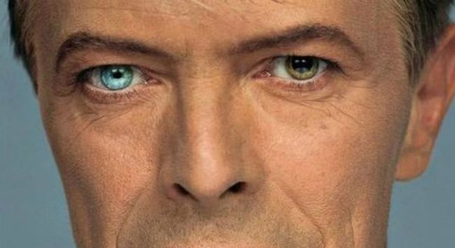 Most Pretty Eyes Around The World Male And Female