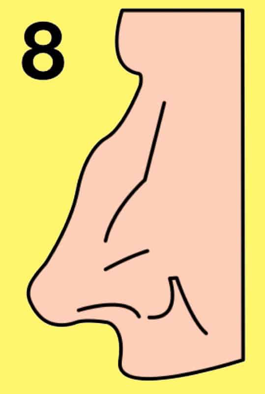 The shape of your nose reveals your personality