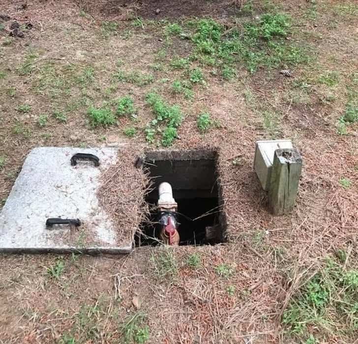 18 Coincidence photographs that will make you look twice