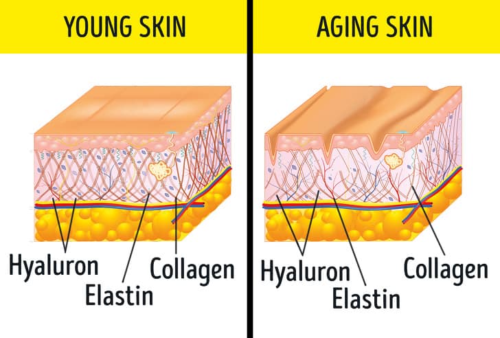 Anti-wrinkle supplements