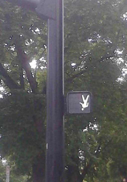 Hilarious blunders created by workers