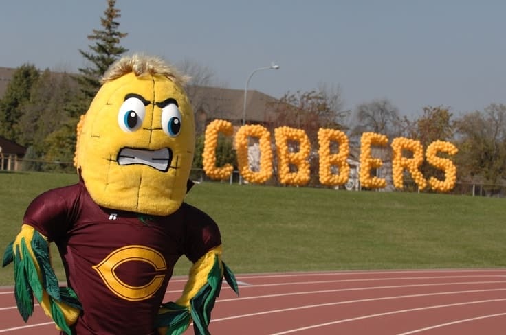 15 Weirdest Mascots One Have Ever Seen