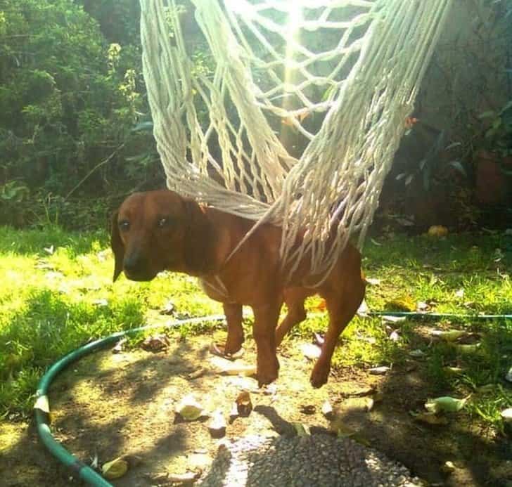 The List of Failures that Cruelly Victimize People