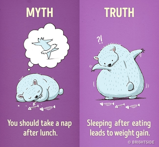  Regular habits myth vs reality-12 Bad habits you need to quit right away