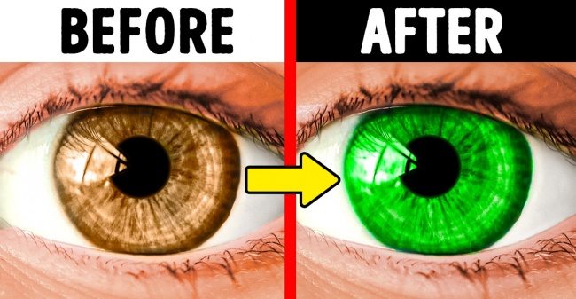 15 Amazing Facts About the Human Body