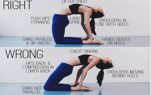 Exercises for healthy body