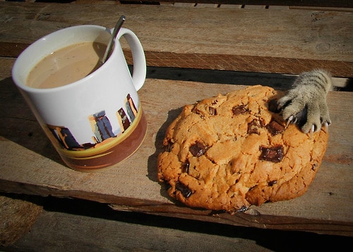 Hilarious home coming situations