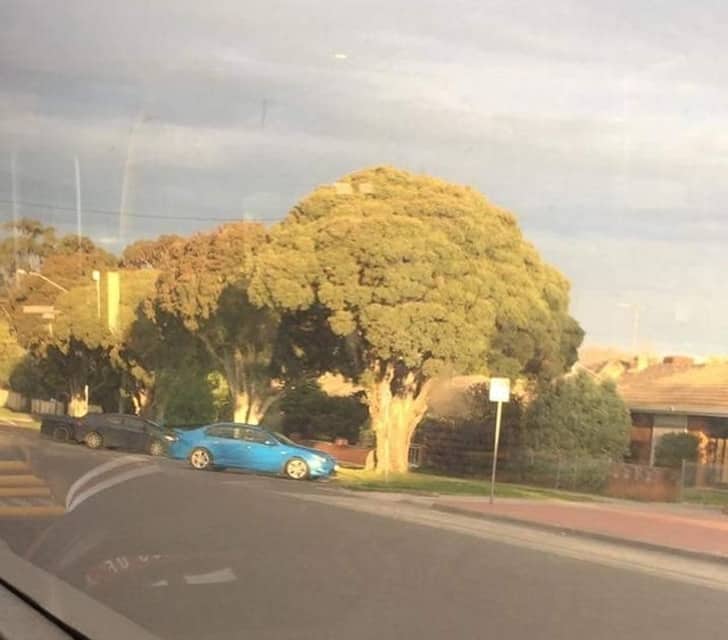 18 Coincidence photographs that will make you look twice