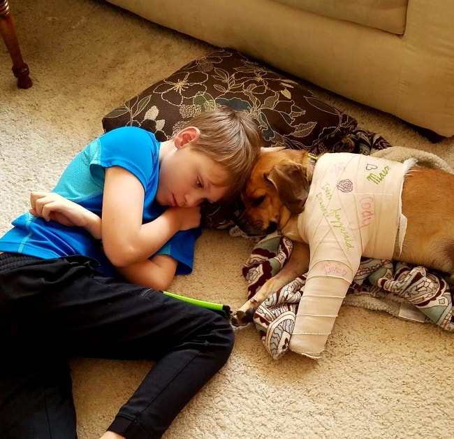 Pictures that restore faith in humanity