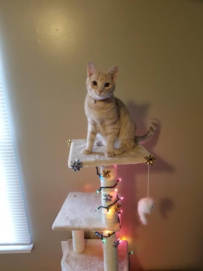 Pictures that restore faith in humanity