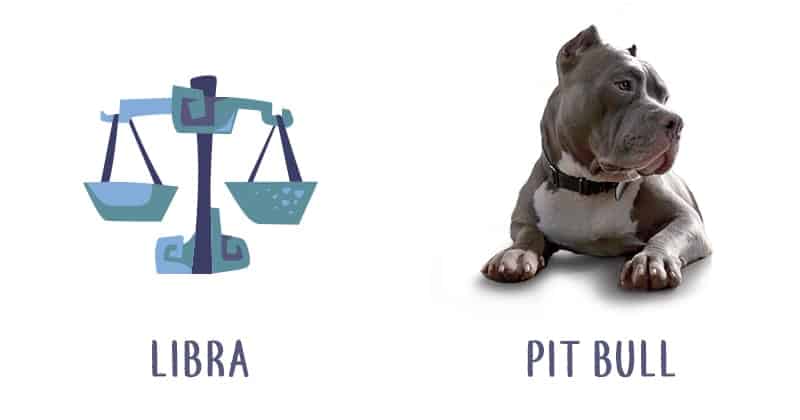 Image Source: Shutterstock