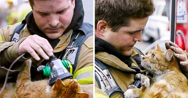 Pictures that restore faith in humanity