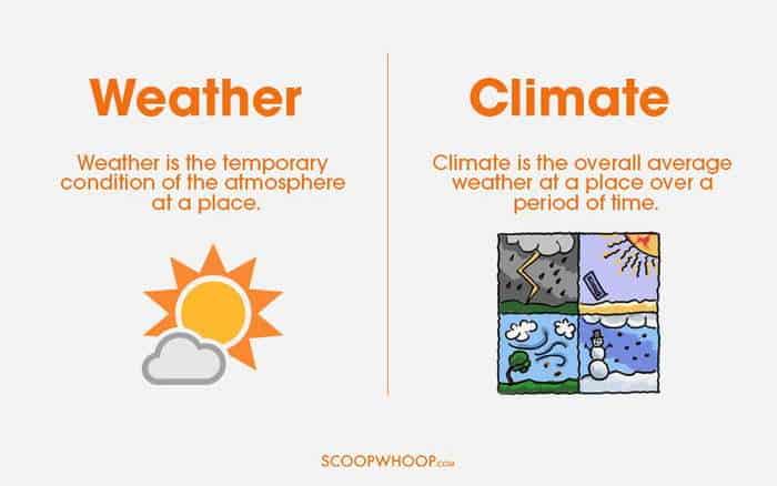 Here are Some Things That We Think Are Alike But Are Not