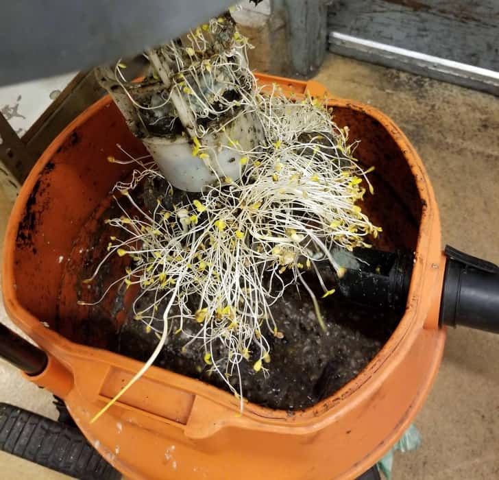 Pictures that crush common sense into bits and pieces