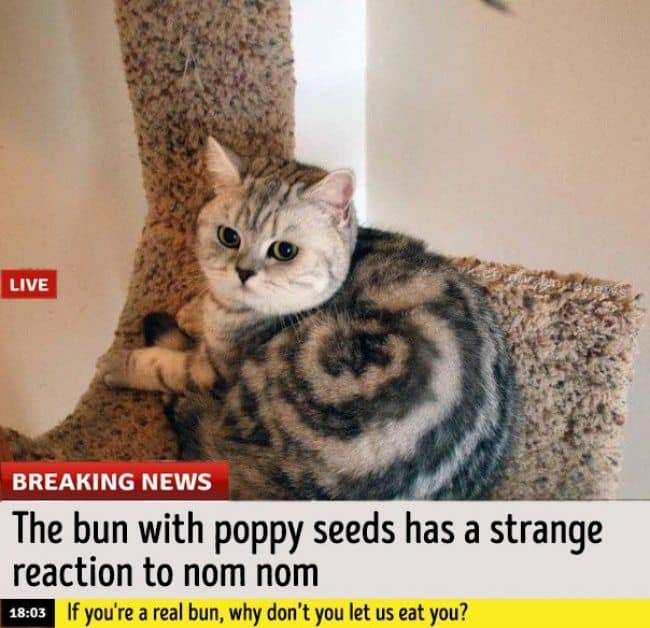 10 ways how media manipulates regular stories into crispy news