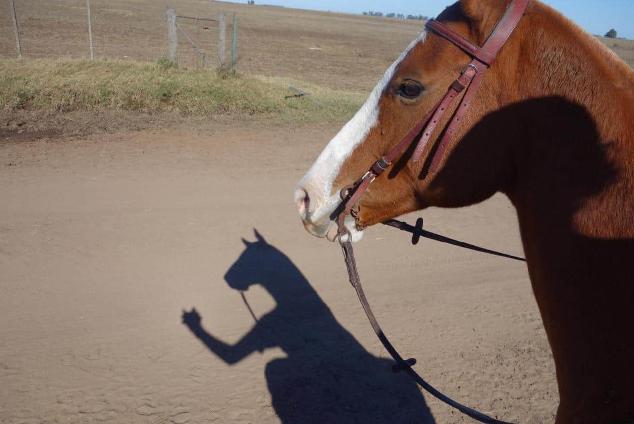 Hilarious weird photos