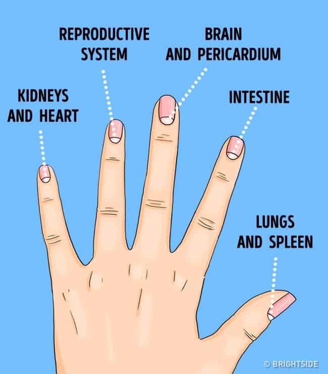 Health problems the moons on your nails warn you about