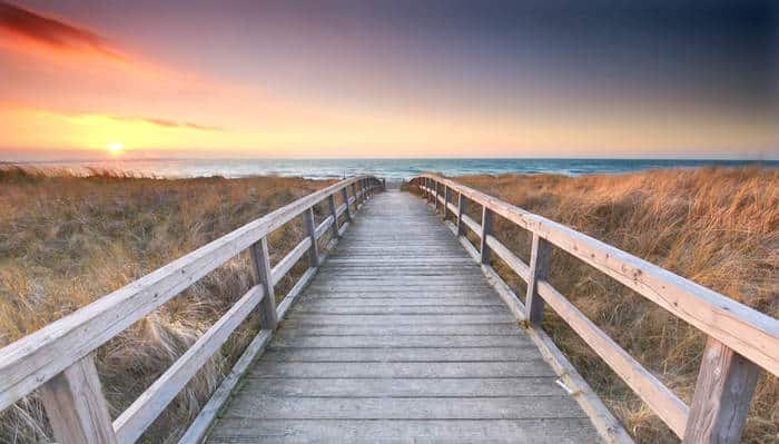 Your Future Lies Hidden In The Path You Choose.