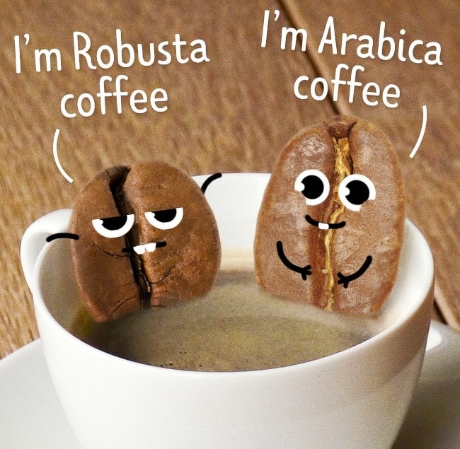 11 Coffee mistakes that can ruin your coffee