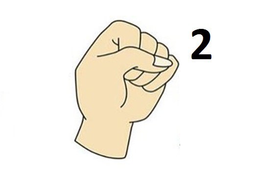 types of the fist with their significance so check yours