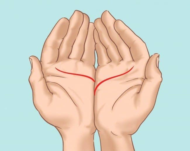 Here is what your palms can tell you about your love life