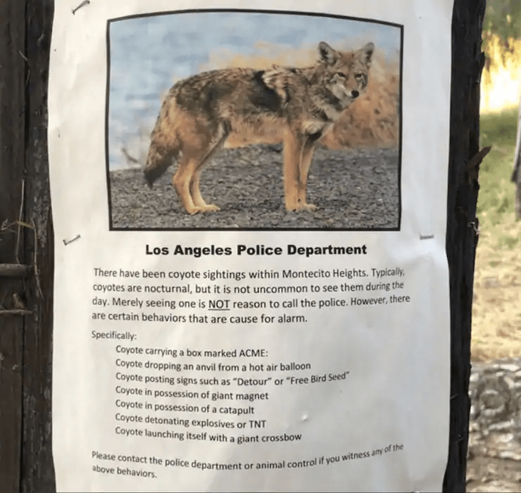 Funny pictures you will find on the internet