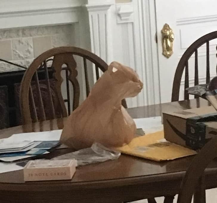 26 pictures make you look twice