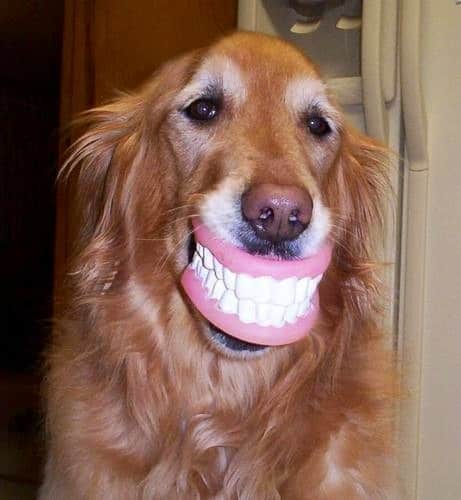 Hilarious home coming situations