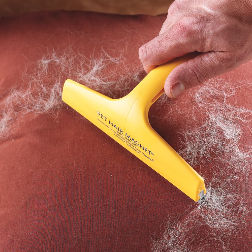 Cannot resist your pets? Use squeegee