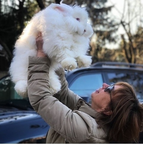 25 Animals with unique features