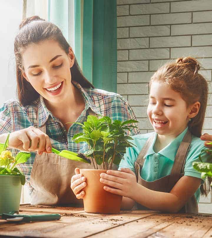 How to choose plants for every room in your house