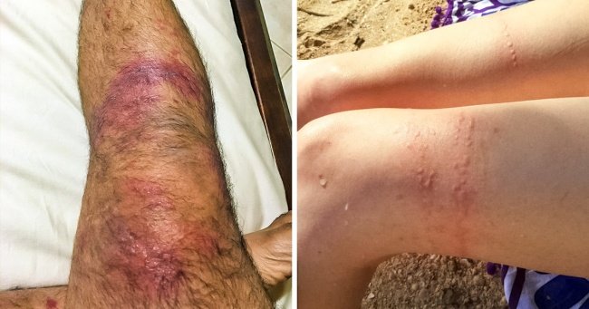 7 Best uses of vodka you need to know