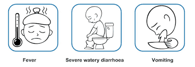 What Is Rotavirus? Causes, Treatment, and Prevention