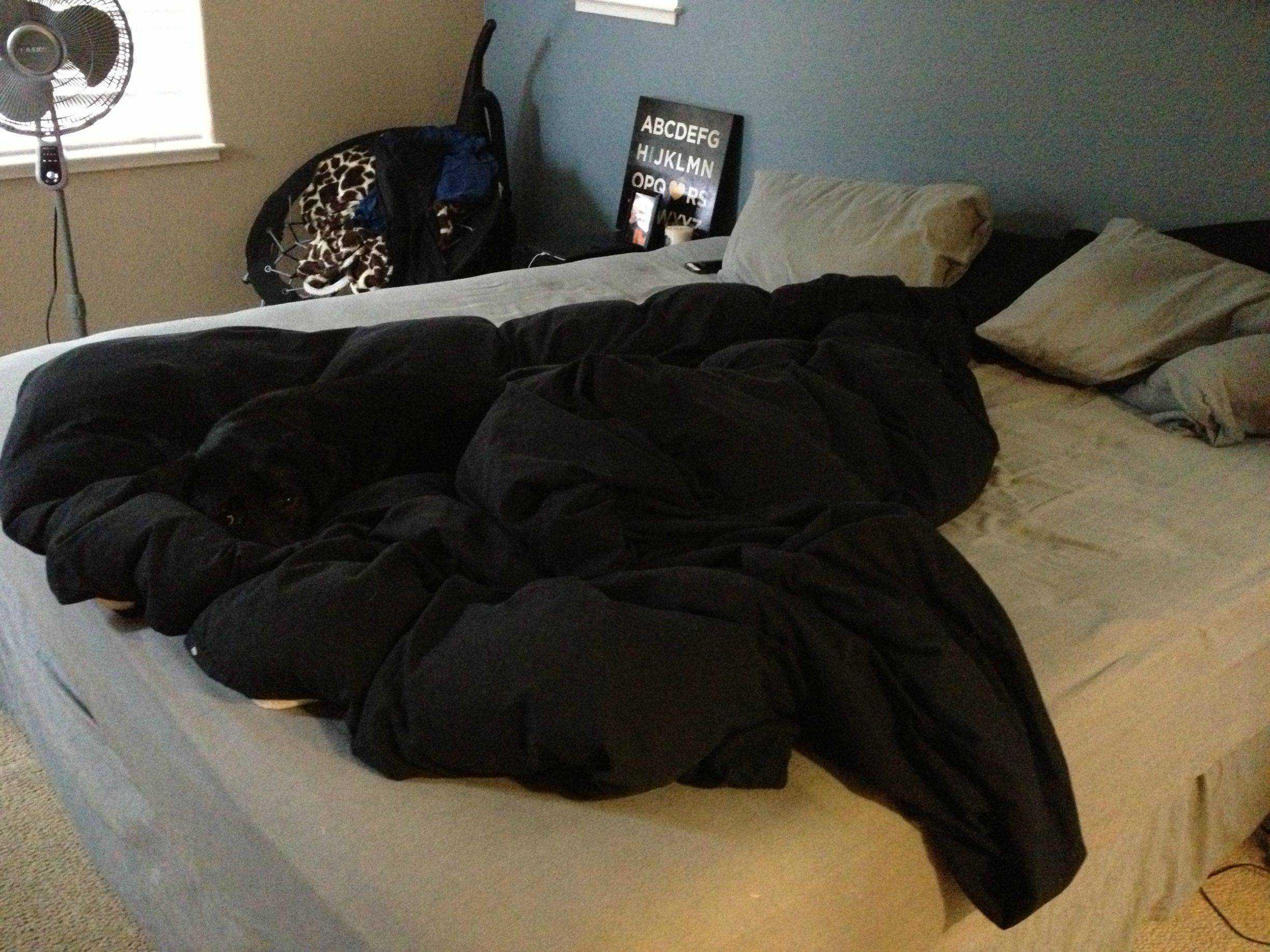 Hilarious home coming situations