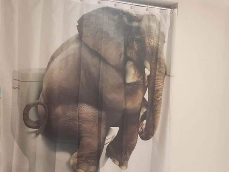 15 Funny Shower Curtains That Will Make You Laugh