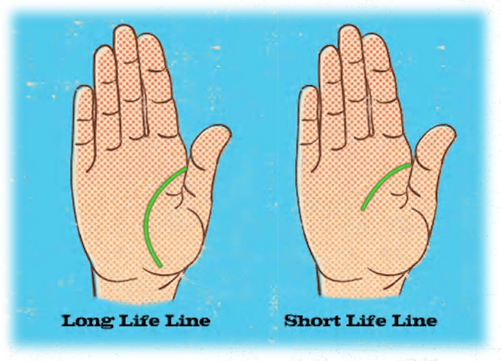 Palmistry reveals interesting things about your personality