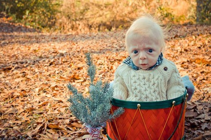13 babies who look like old people