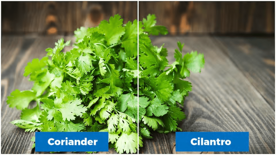 10 Food Items with different names in UK and USA