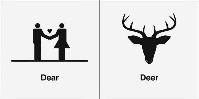 Dear, Deer