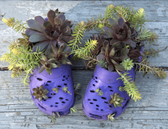 10 Useless inventions which can make you laugh