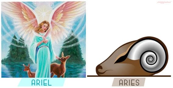 Your Guardian Based on Your Zodiac Sign