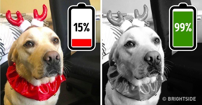 Secret smartphone features that can make your life easier