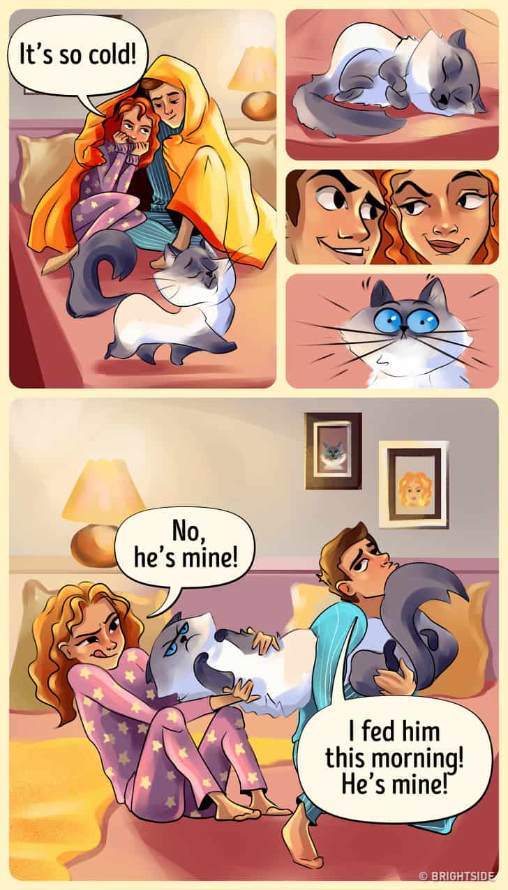 fall expectation vs reality